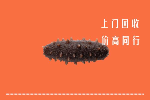 高价求购：伊犁州塔城回收海参