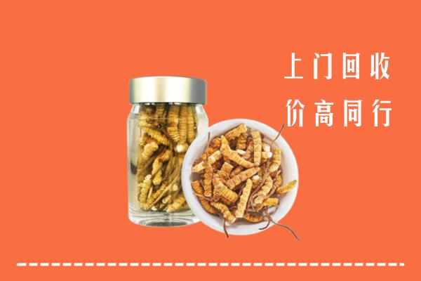 伊犁州塔城回收冬虫夏草