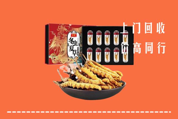 伊犁州塔城回收虫草